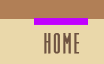 Color & Kut Home